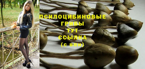 2c-b Рославль